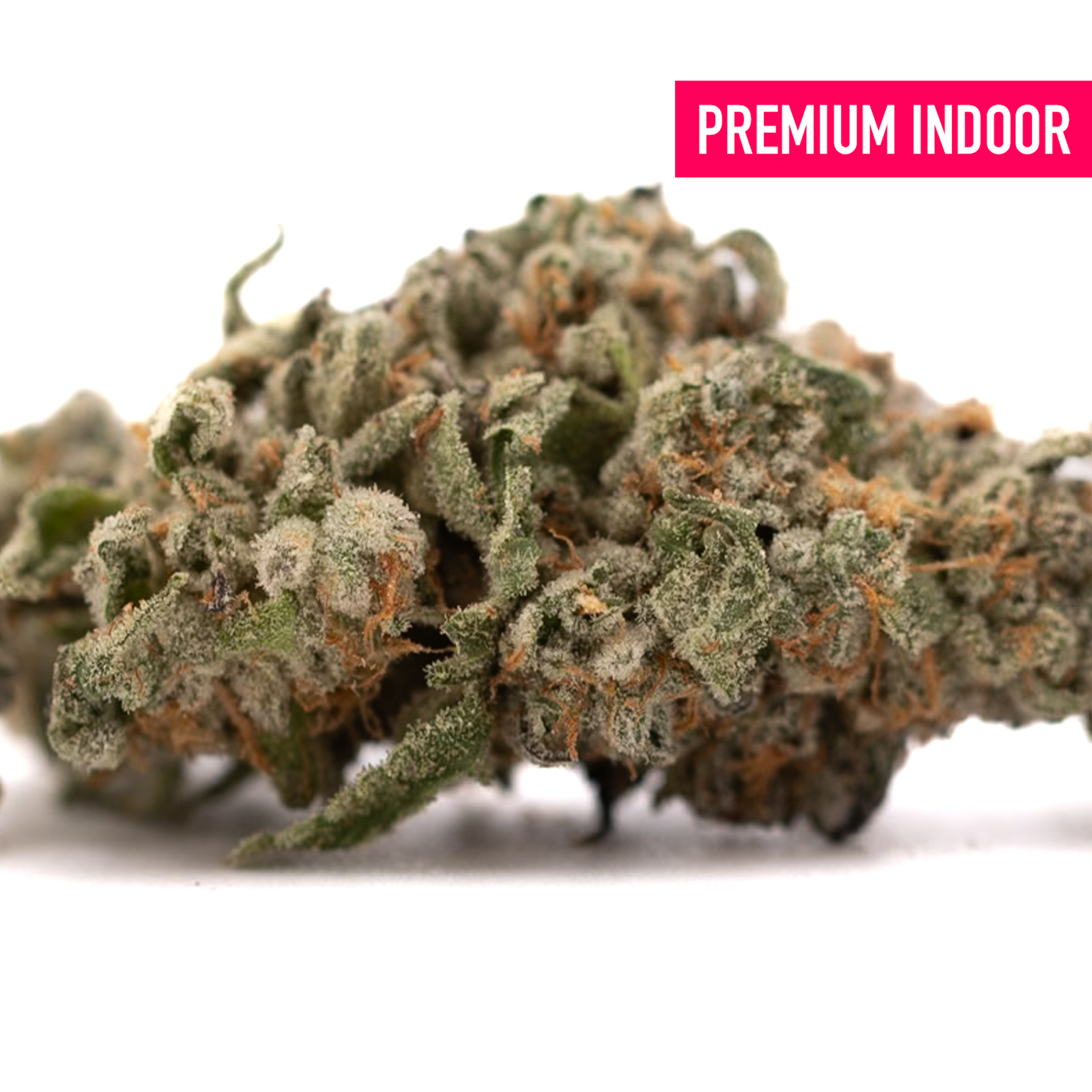 Event Horizon Indoor THCa Flower with dense trichome-covered bud and cosmic colors