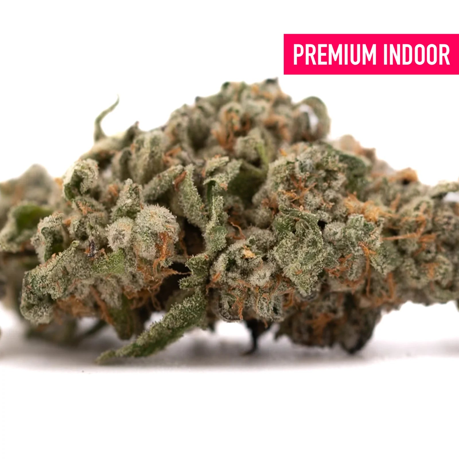 Event Horizon Indoor THCa Flower with dense trichome-covered bud and cosmic colors