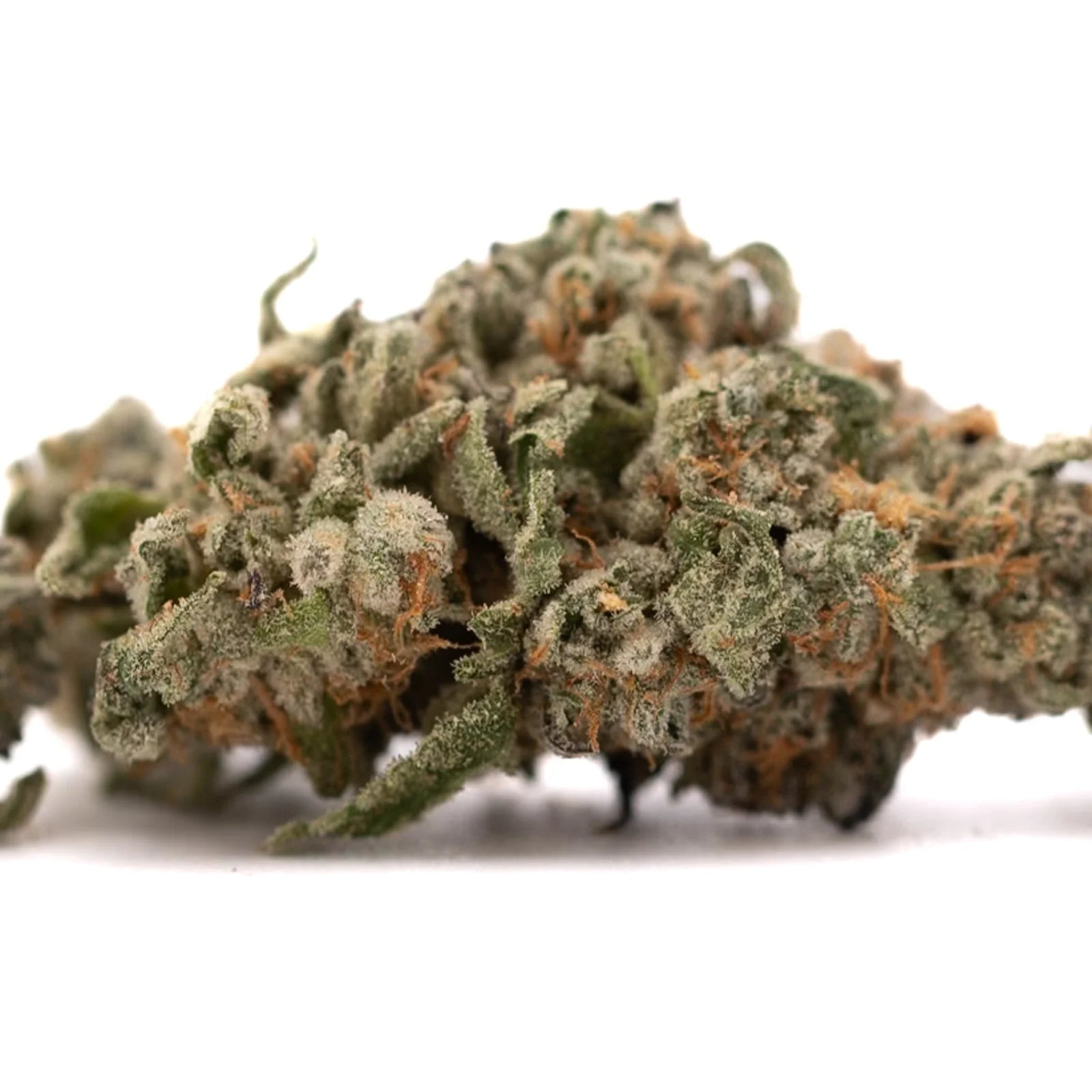 Dried cannabis bud with trichomes and orange pistils from Event Horizon THCa Flower featuring cosmic colors