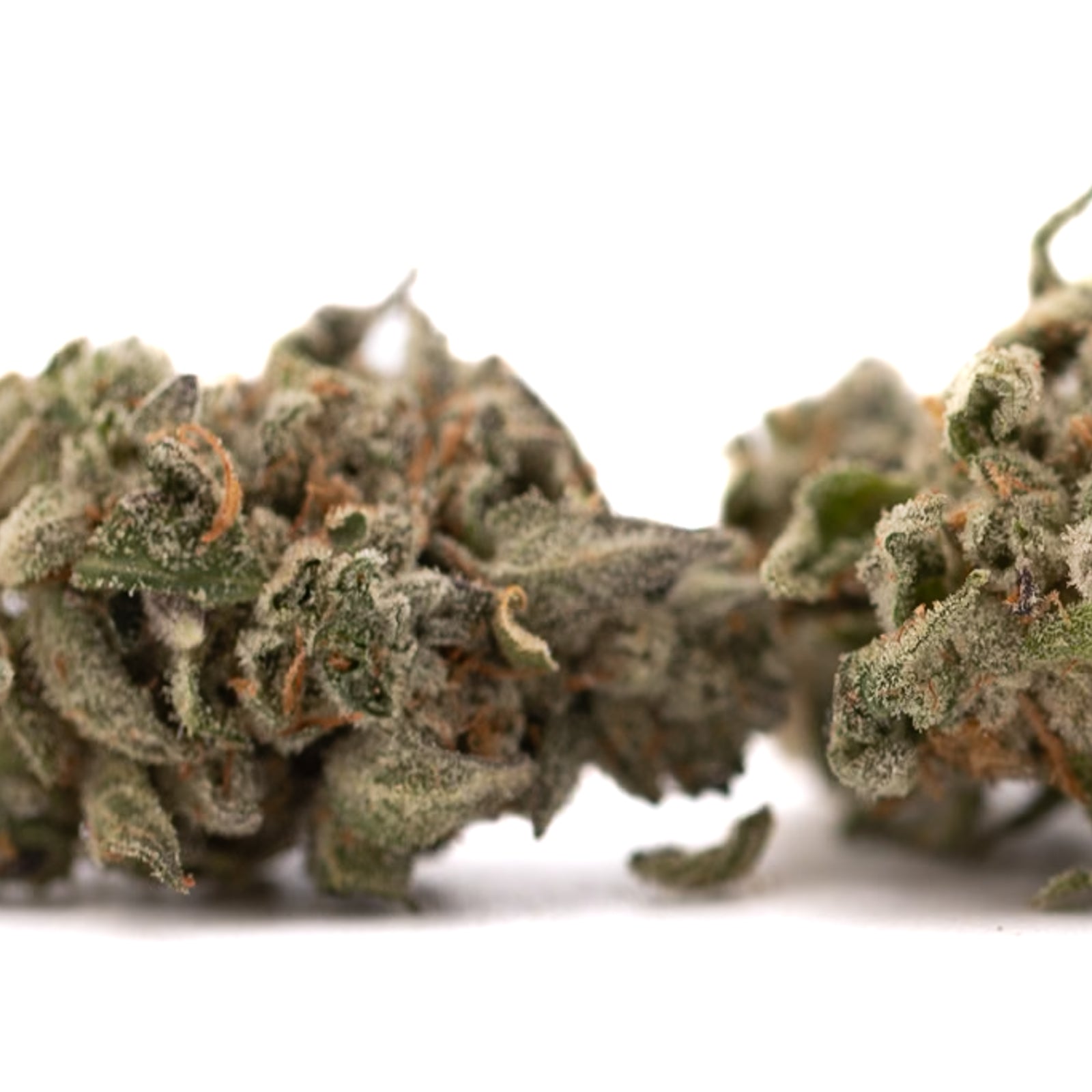 Event Horizon Indoor THCa Flower with dried cannabis flower, trichomes, and cosmic colors