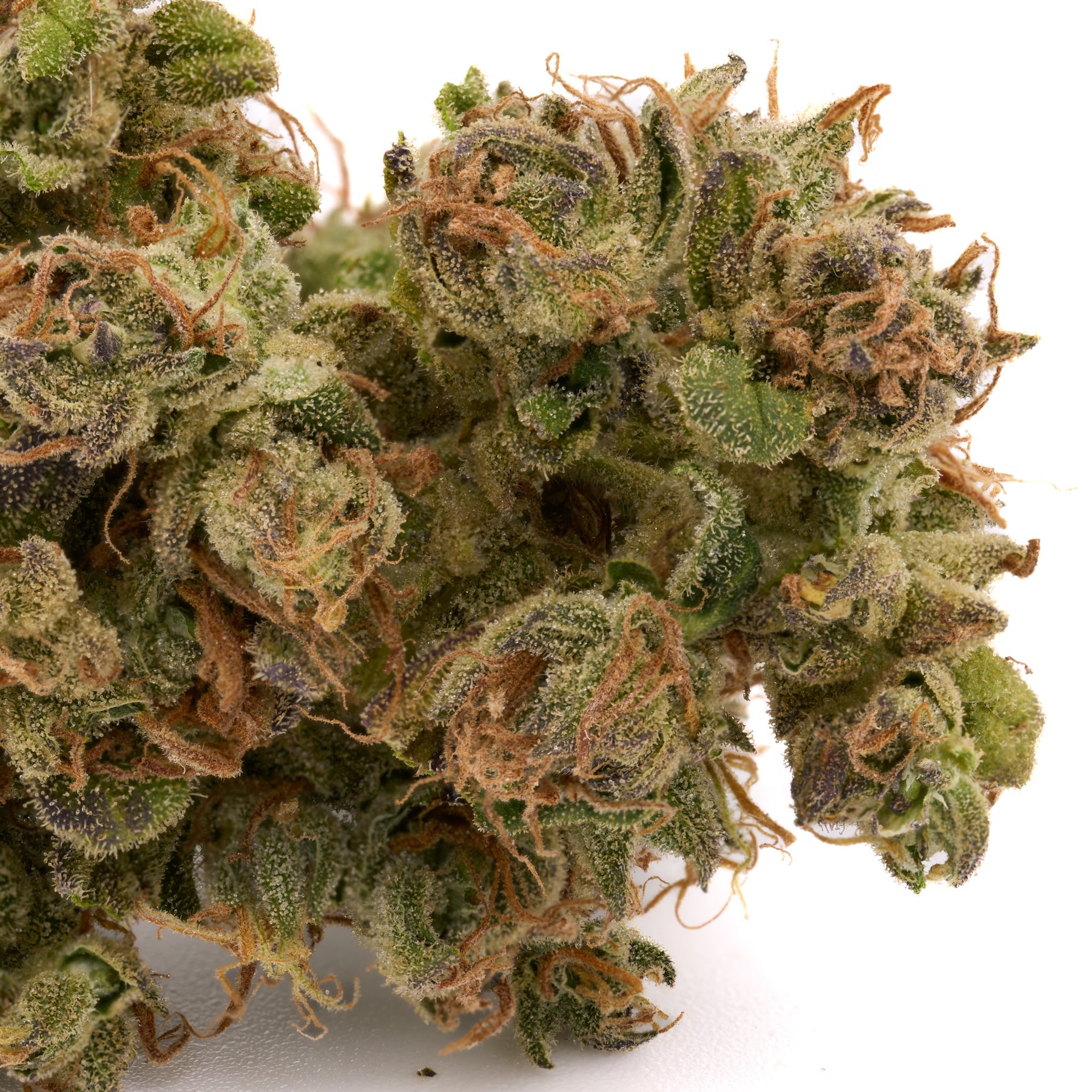 EZ Baked 25.21% THCa Pre-Rolls - 1 Gram - 1g - Plants