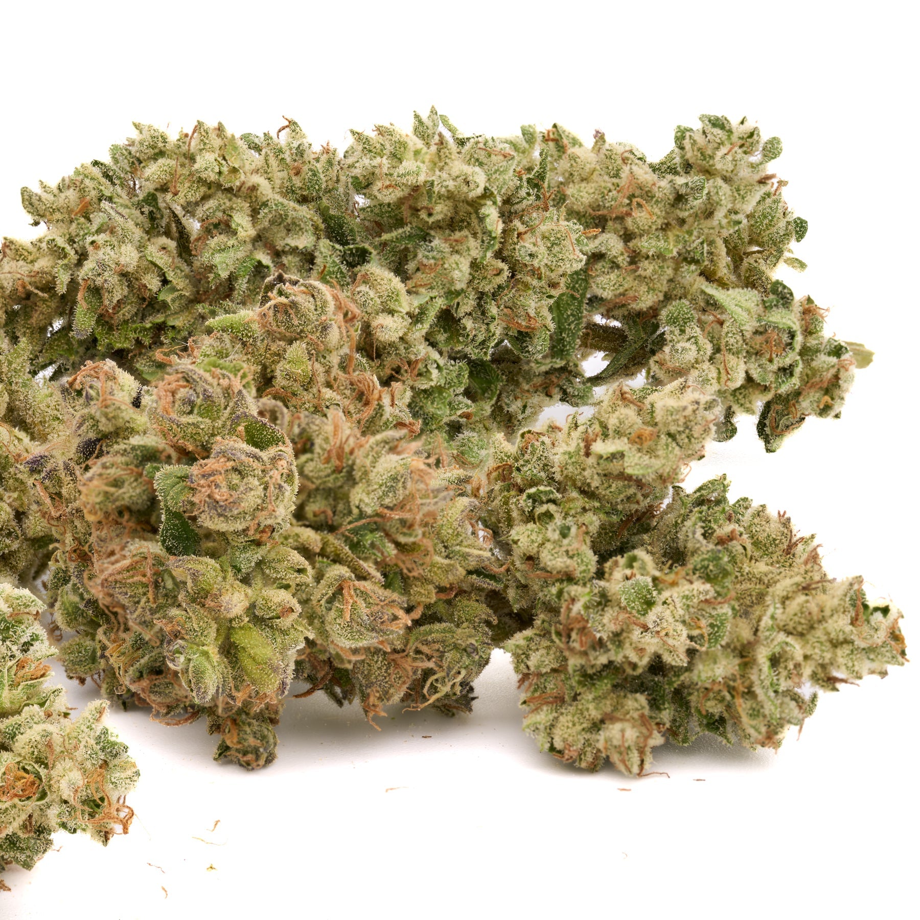 EZ Baked 25.21% THCa Pre-Rolls - 1 Gram - 1g - Plants