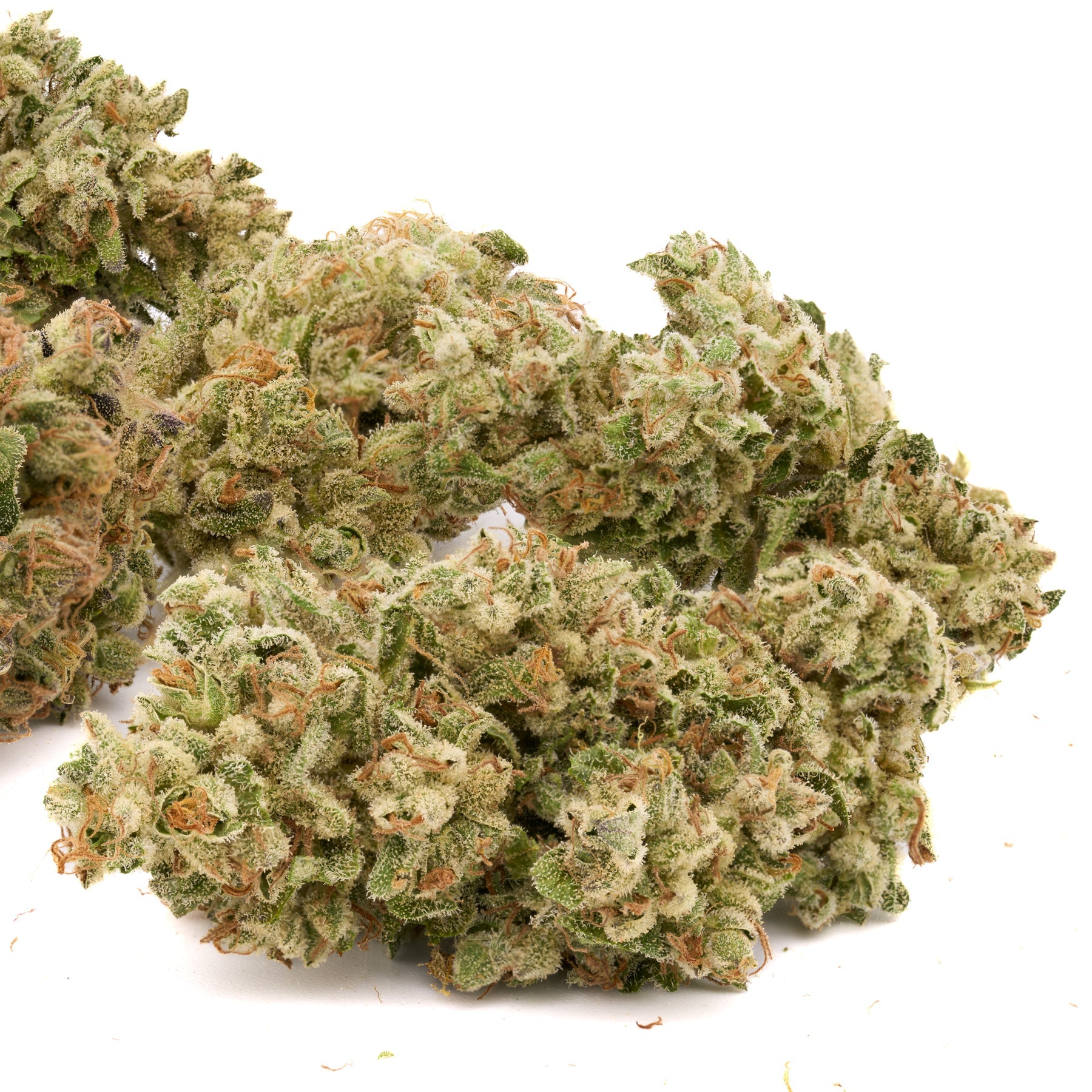 EZ Baked THCa Kief - Plants