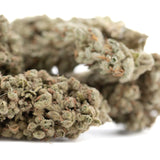 Premium Face Fat THCa Flower: Dense trichome bud in earthy tones