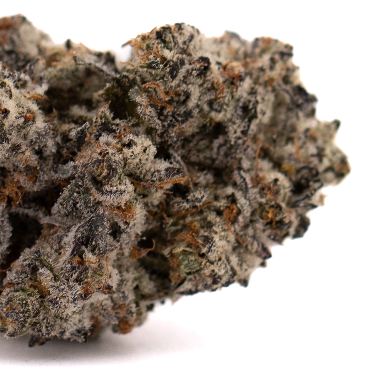 Dense Fire OG THCa Indoor Flower with dark purple, green hues, vibrant orange pistils, best THCA flower
