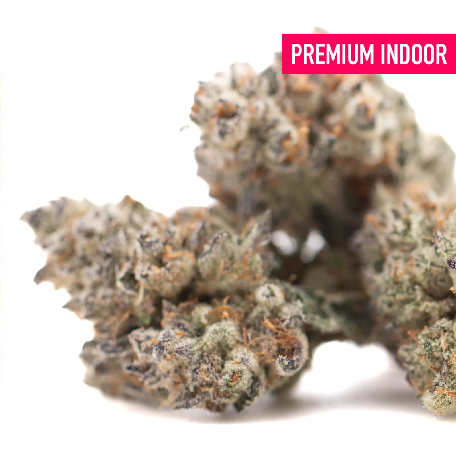 Dense frosty flyin hawaiian indoor thca flower with green and orange hues featuring oregon blueberry and hemp flower notes