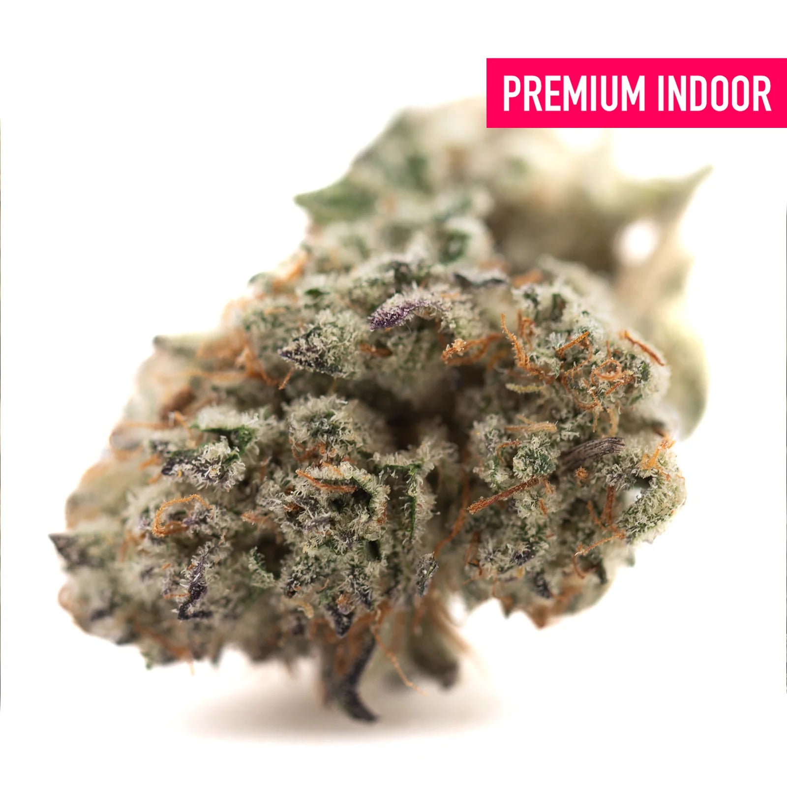 A dense flyin hawaiian indoor thca flower hemp bud with green and purple hues covered in trichomes and orange pistils