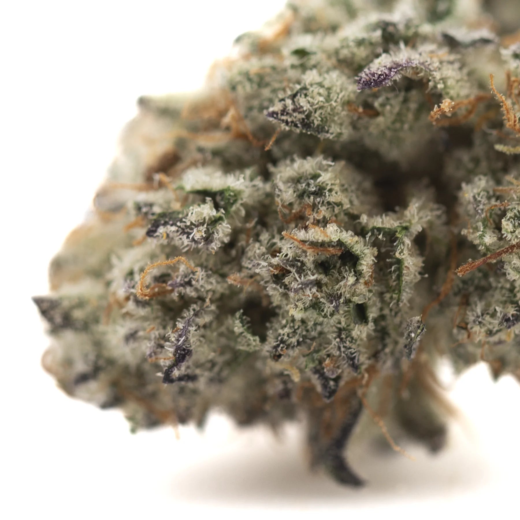 Flyin hawaiian indoor thca flower dense frosty cannabis bud with green purple hues orange pistils oregon blueberry