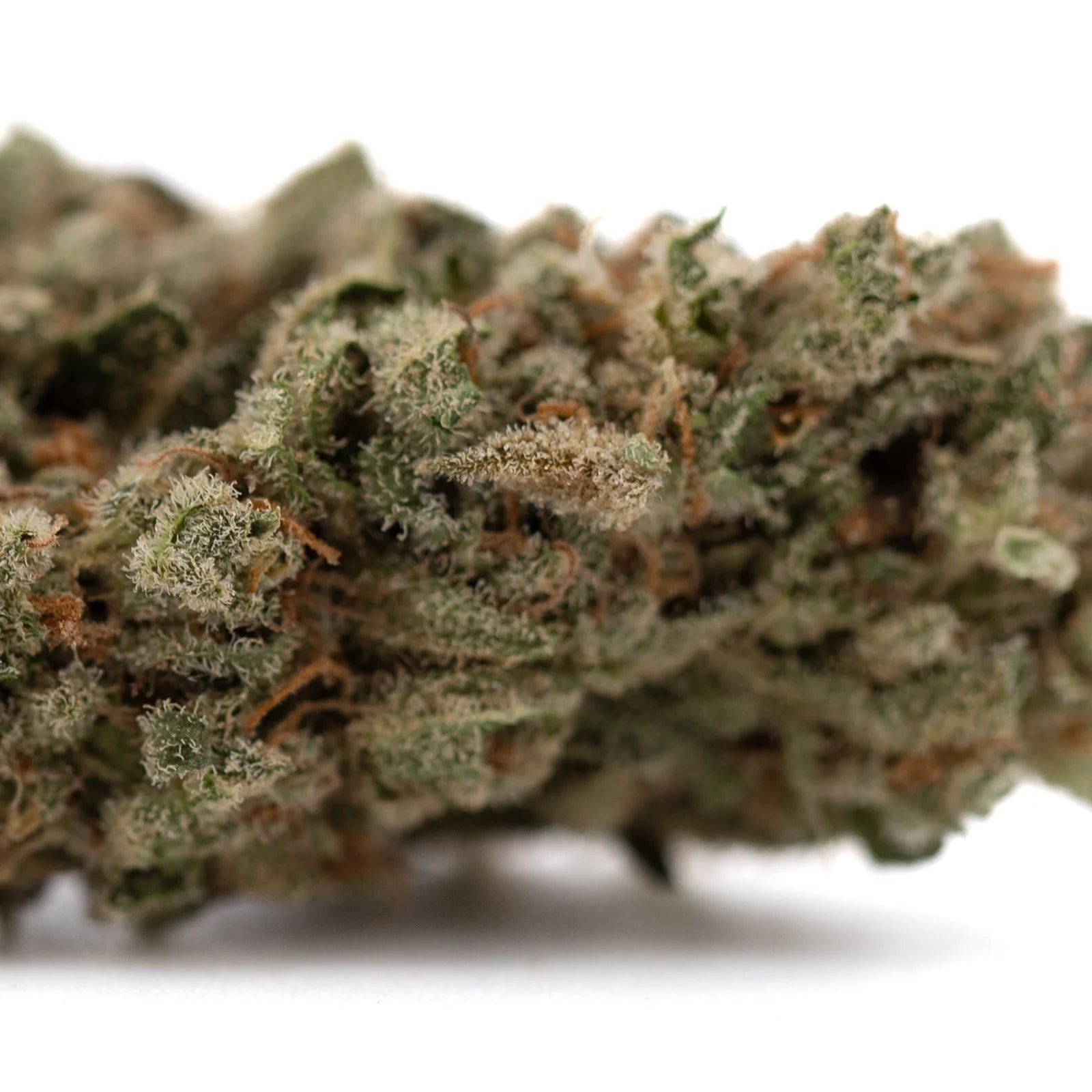 Fog Dog organic THCa flower: green and brown bud with trichomes