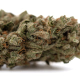 Fog Dog organic THCa flower: green and brown bud with trichomes