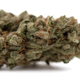Fog Dog organic THCa flower: green and brown bud with trichomes