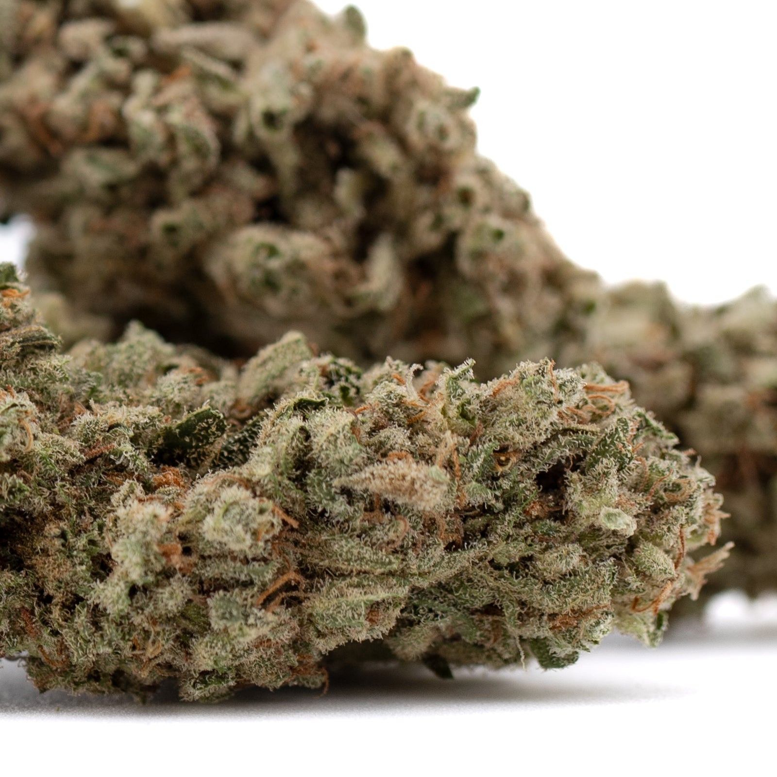 Fog Dog organic THCa flower: green-purple bud with trichomes