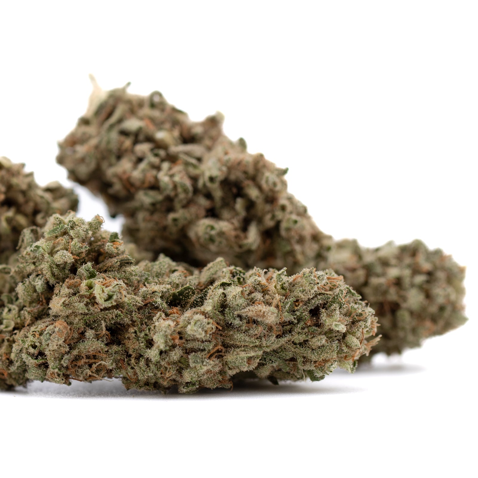 Premium Fog Dog organic THCa flower bud with dense trichomes