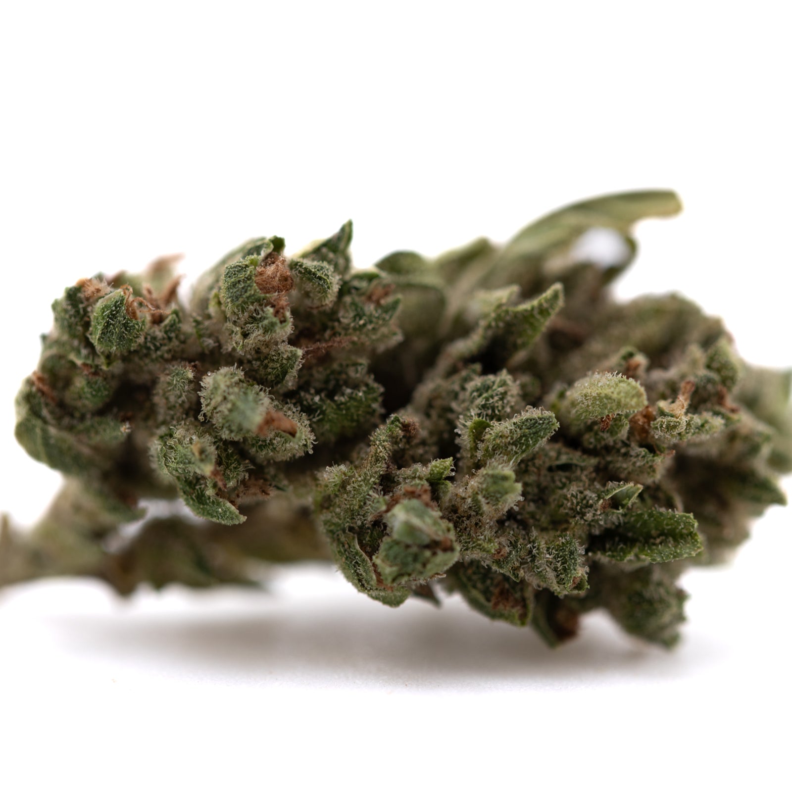 Fog Dog THCa Flower Smalls: green leaves, purple buds, dried marijuana