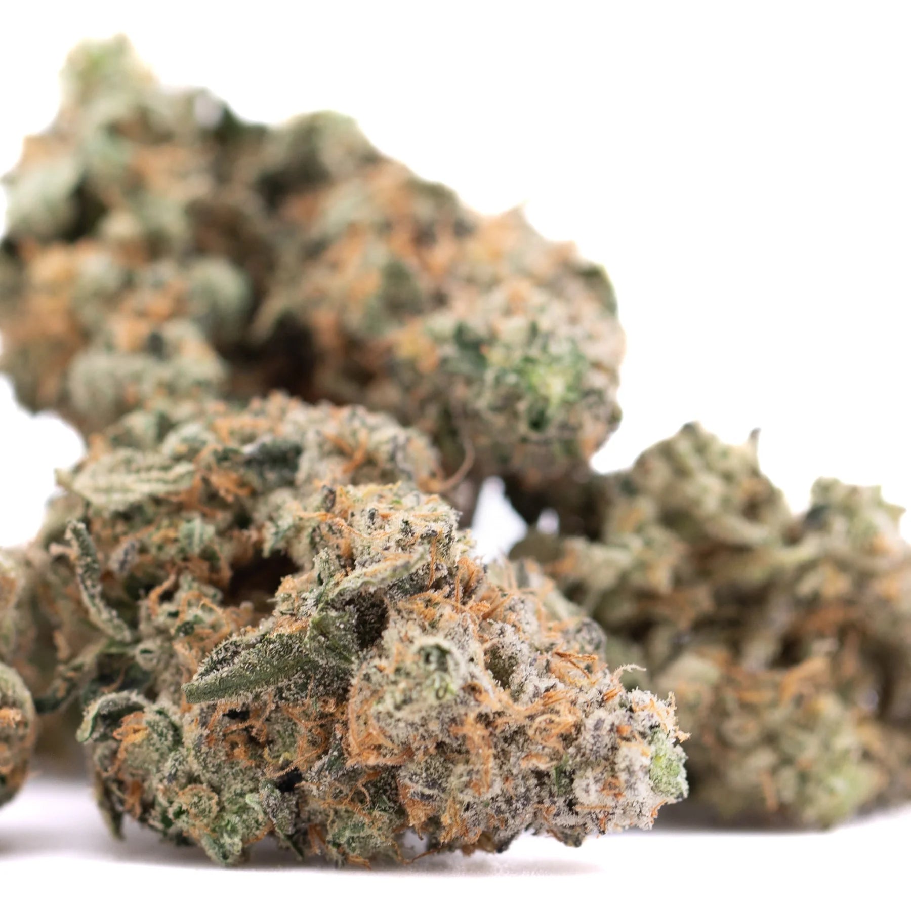 Dense green and orange fornicate indoor thca flower bud with frosty trichomes and earthy gassy funk terpene profile