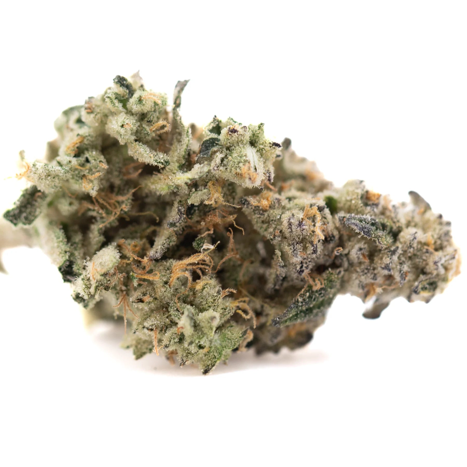 Dense fornicate indoor thca cannabis bud with green purple hues white trichomes and orange pistils showcasing earthy gassy funk terpene profile
