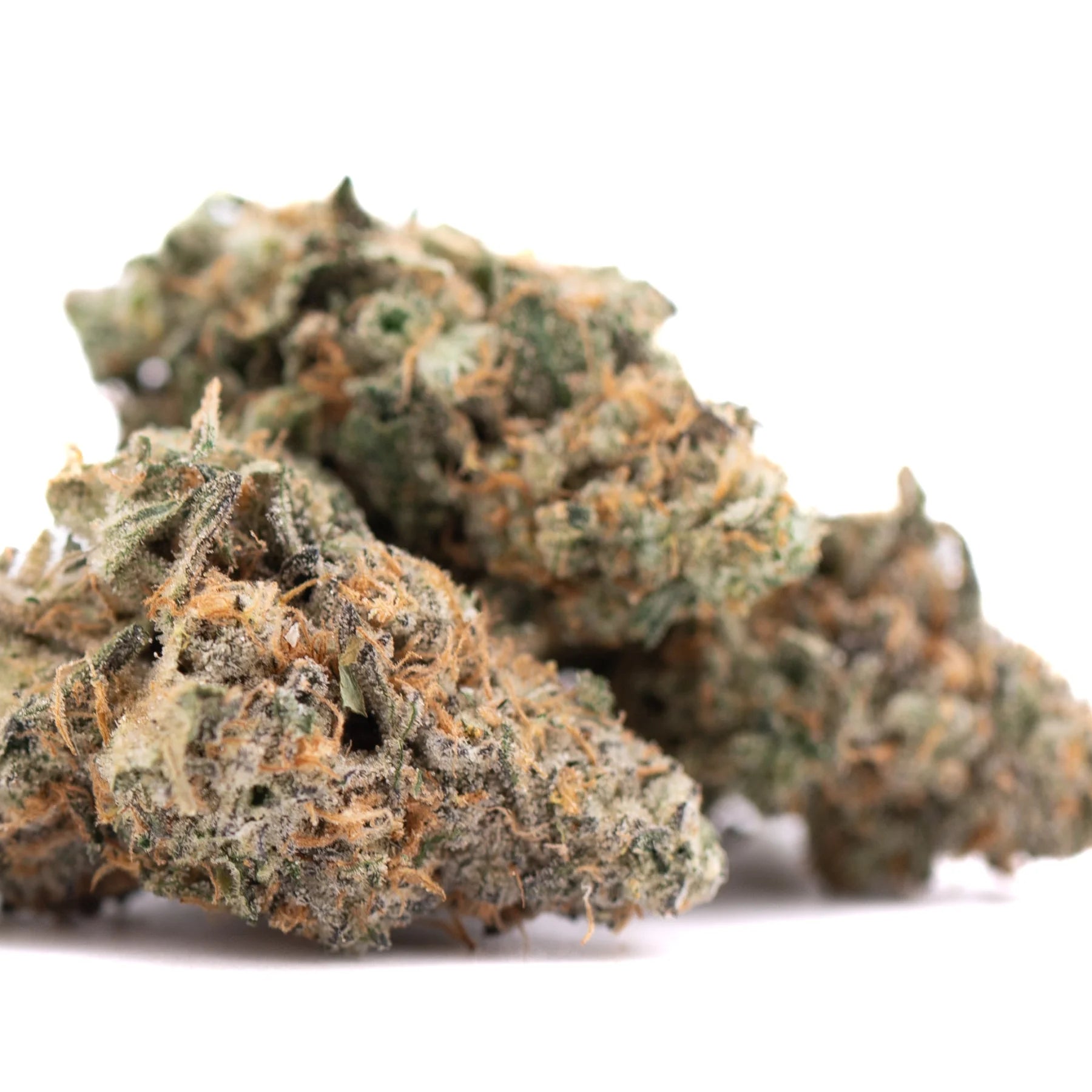 A dense fornicate indoor thca flower bud with green and orange hues and an earthy gassy funk terpene profile