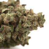 A dense green fornicator thca hemp flower covered in frosty trichomes showcasing premium greenhouse hemp flower quality