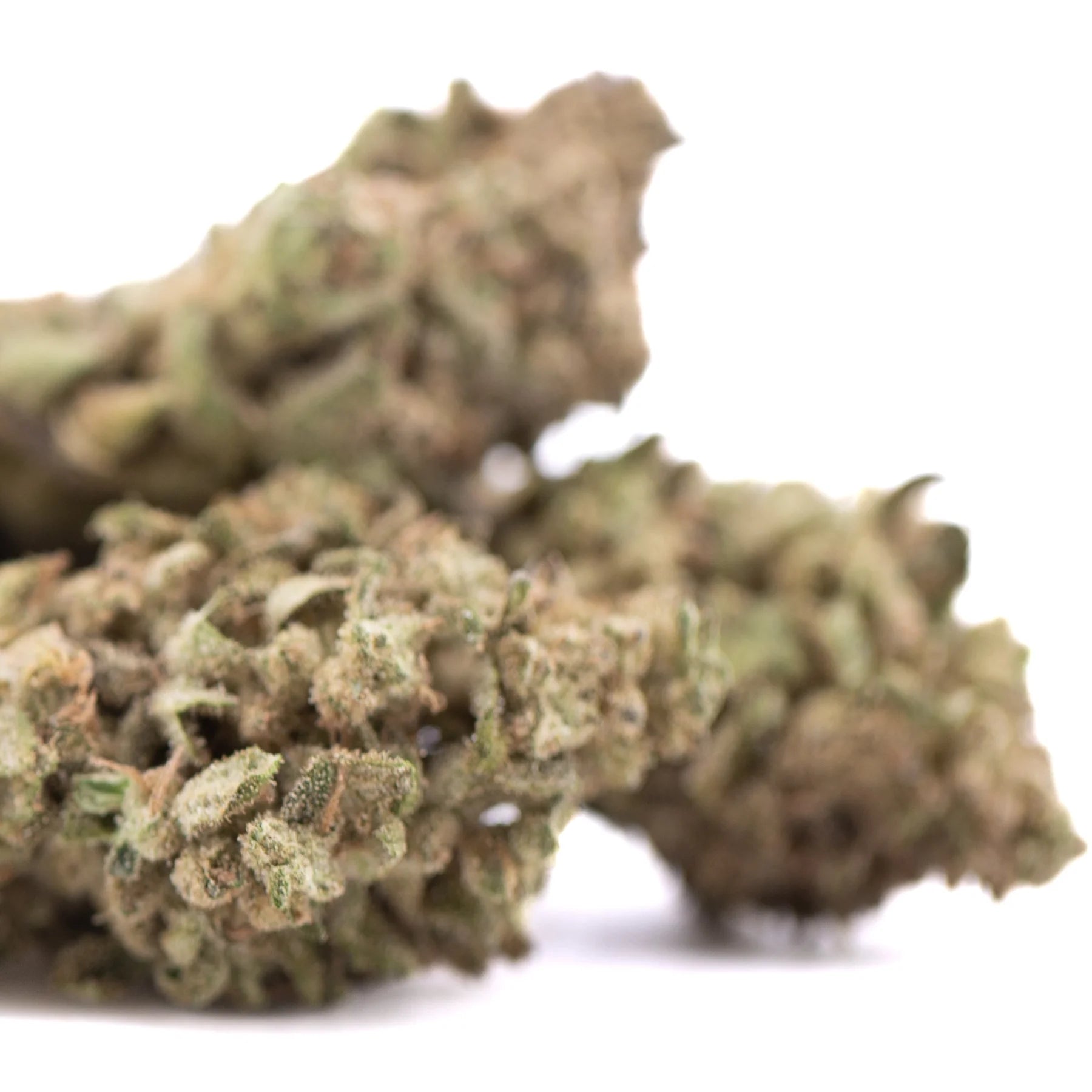 Dense green and brown fornicator thca hemp flower buds with trichomes highlighting greenhouse hemp flower quality