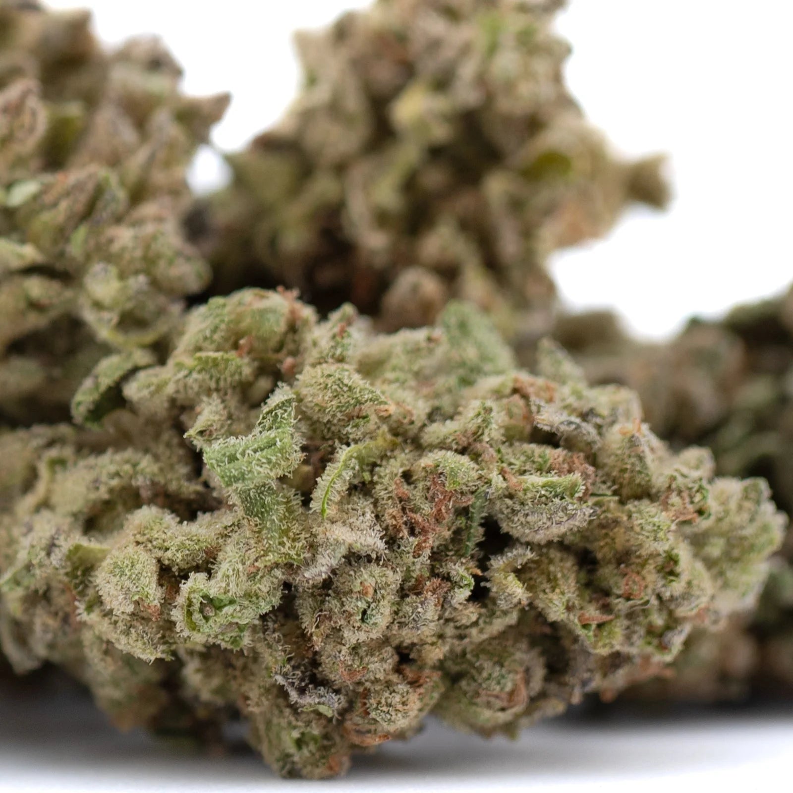 Premium Froot by the Foot Full-Term THCa Flower with Dense Trichomes