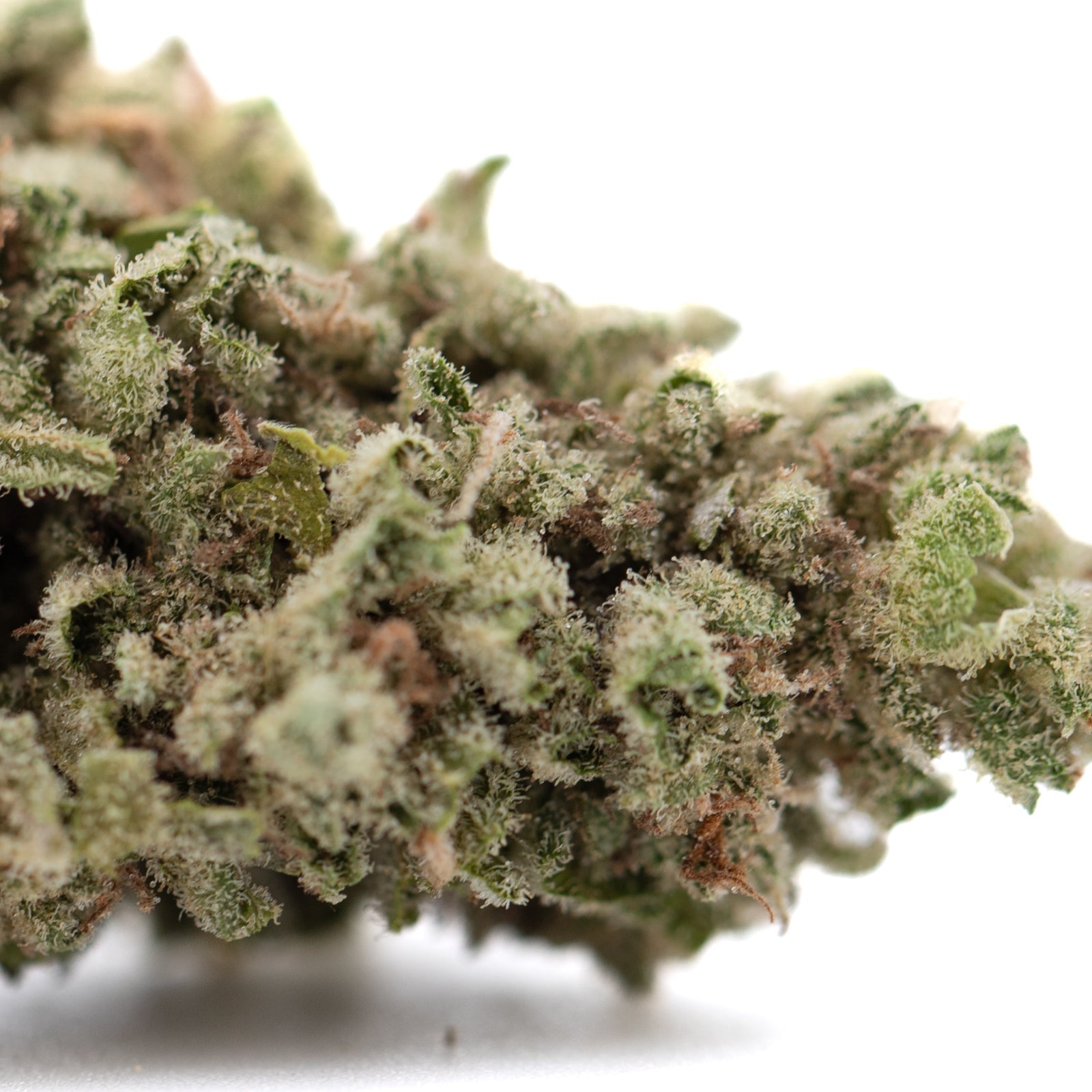 Premium Froot by the Foot THCa Flower with Dense Trichomes