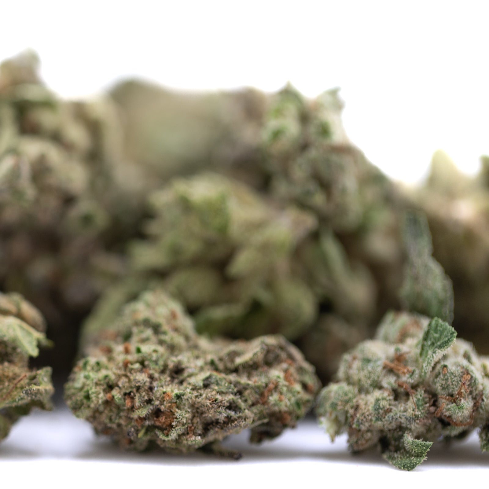 Premium Froot by the Foot THCa Flower Smalls with green buds