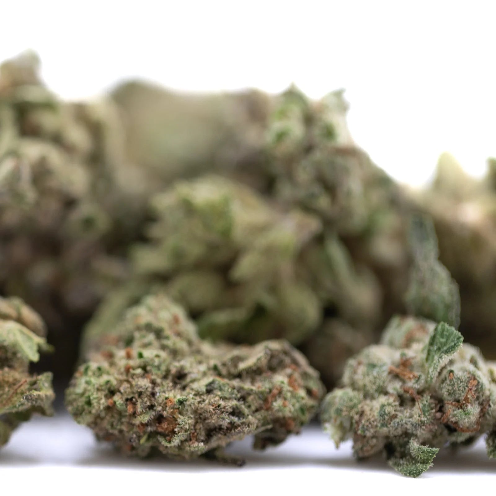 Premium Froot by the Foot THCa hemp flower smalls with candy flavor buds