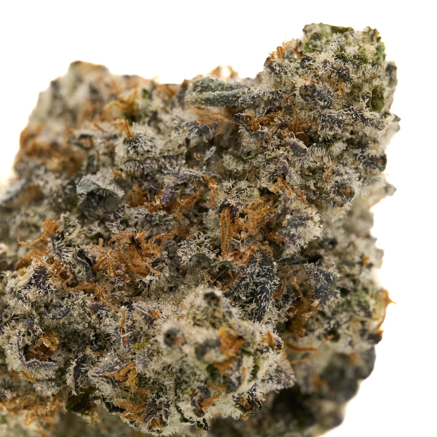Frosted Runtz Indoor THCa Flower with dense cannabis bud, orange hairs, and white trichomes