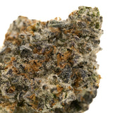Frosted Runtz Indoor THCa Flower with dense cannabis bud, orange hairs, and white trichomes