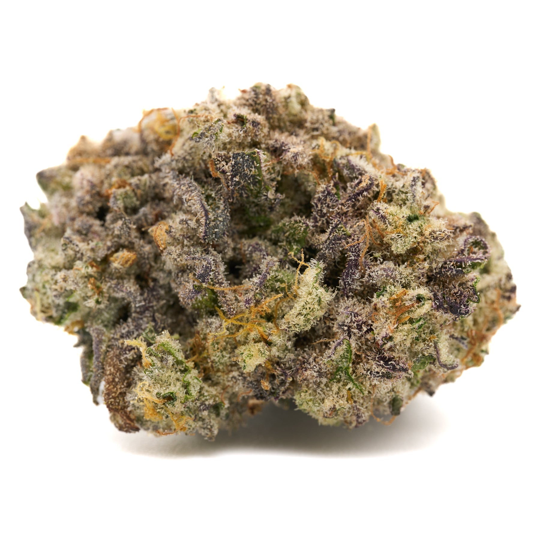 Dense G-MAC Indoor THCa Flower Lemon Cookie cannabis bud with purple and green hues
