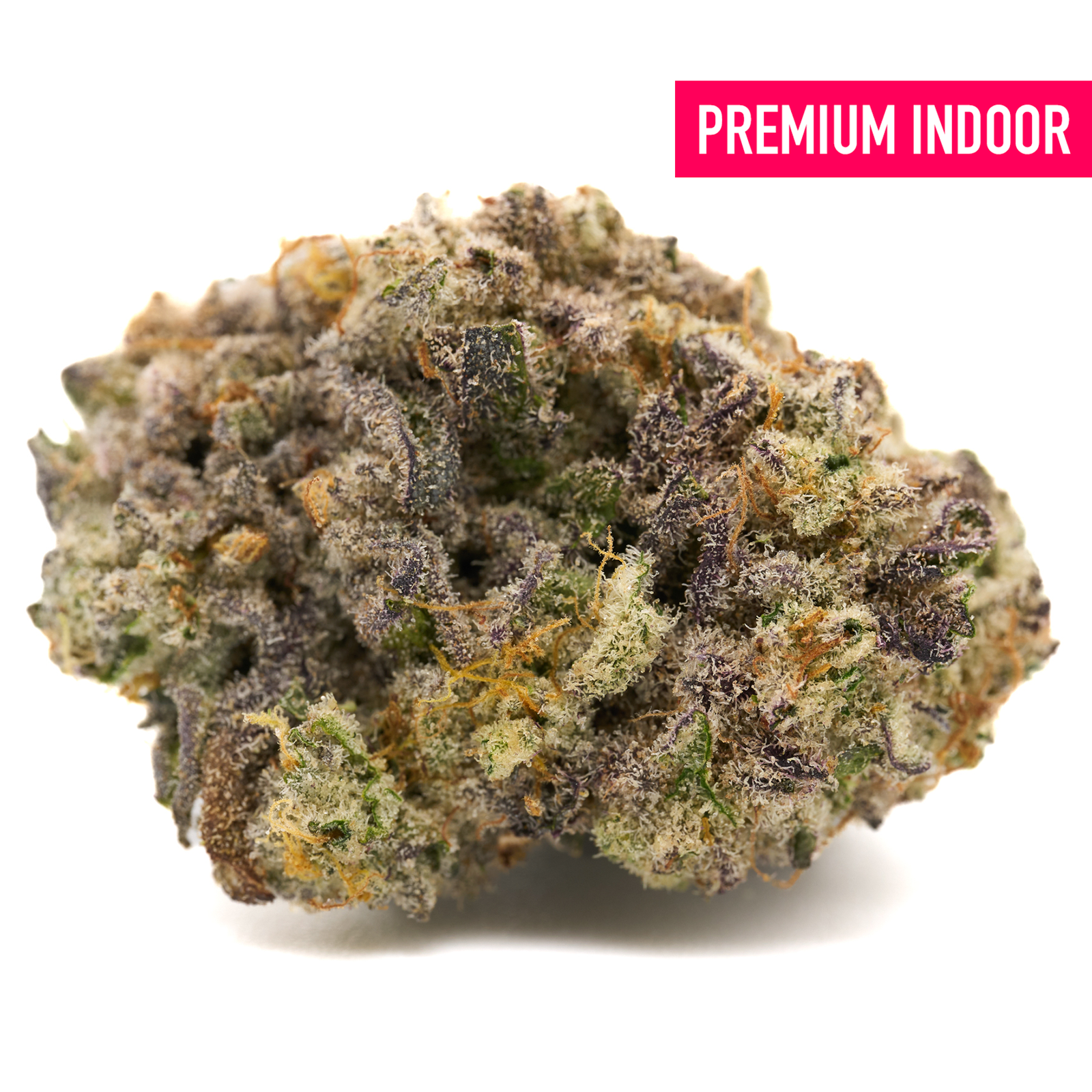 Premium G-MAC Indoor THCa Flower Lemon Cookie with vibrant purple green orange hues
