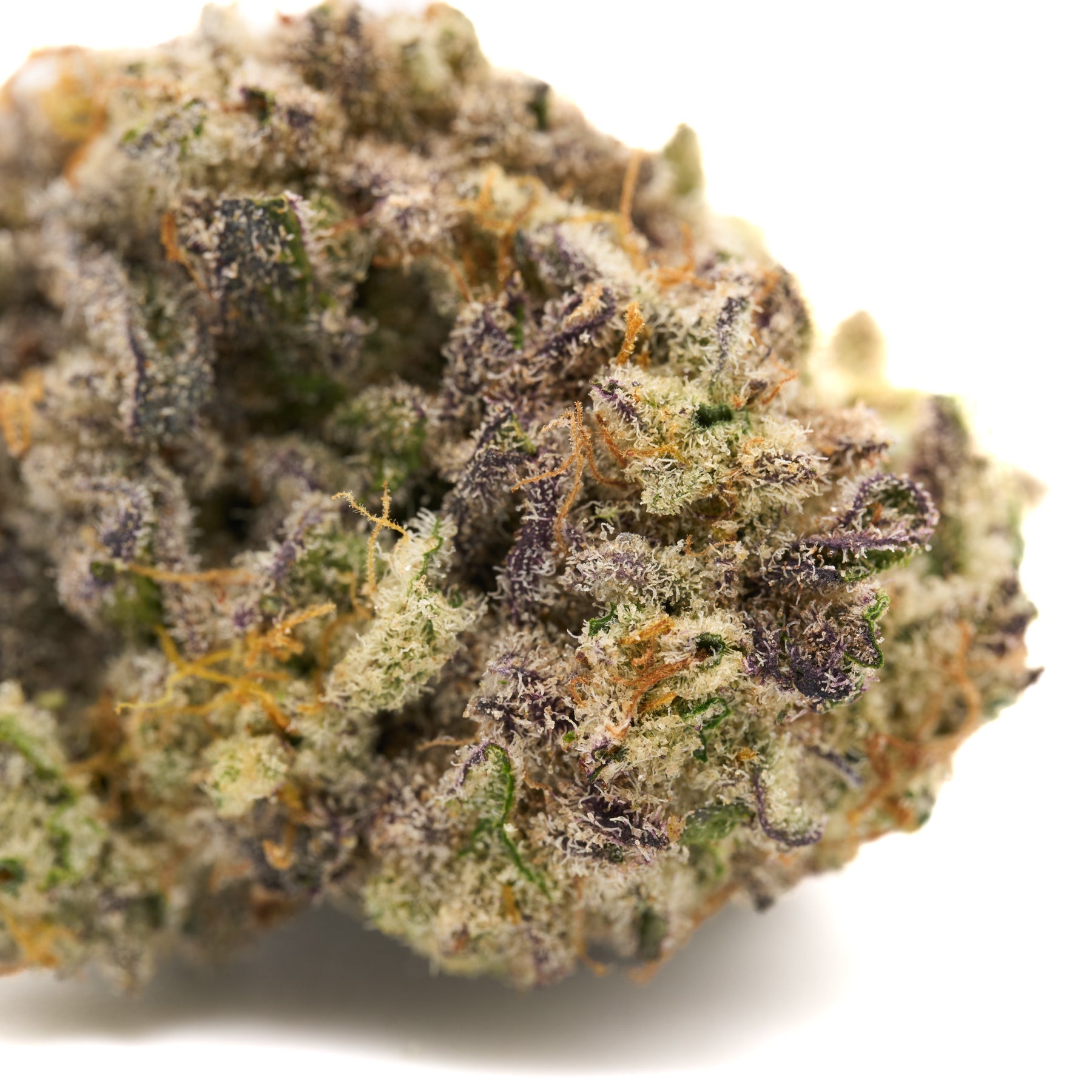 G-MAC Indoor THCa Flower Lemon Cookie cannabis nug with purple, green, and orange hues