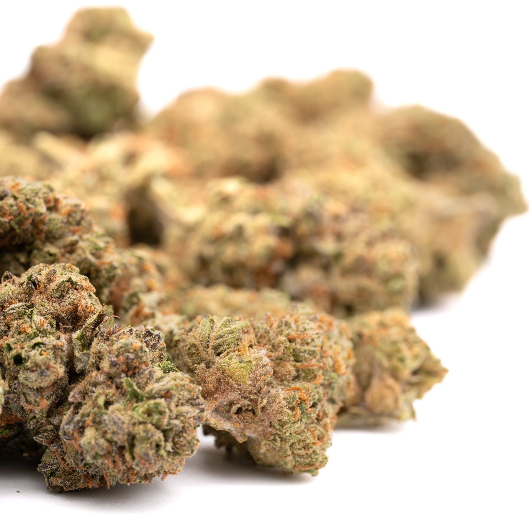 Garlic Cookies THCa Hemp Flower Greenhouse - Plants