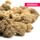 Greenhouse-grown Garlic Cookies THCa hemp flower with trichomes and orange hairs