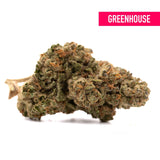 Garlic Cookies THCa Hemp Flower Greenhouse - Plants