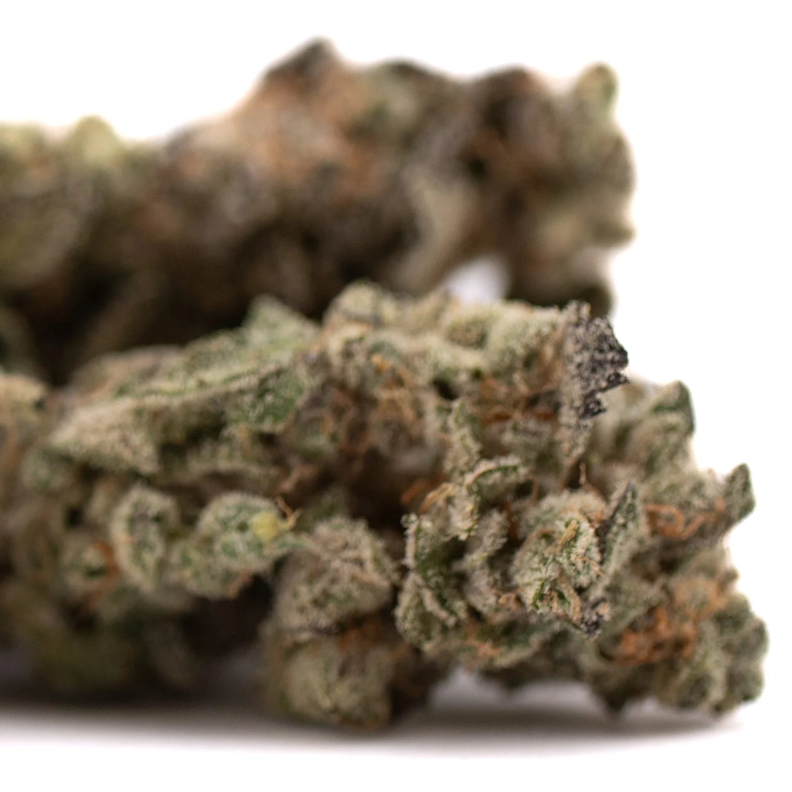 Close-up of dried Garlic OG Indoor THCa Flower with trichomes and orange hairs