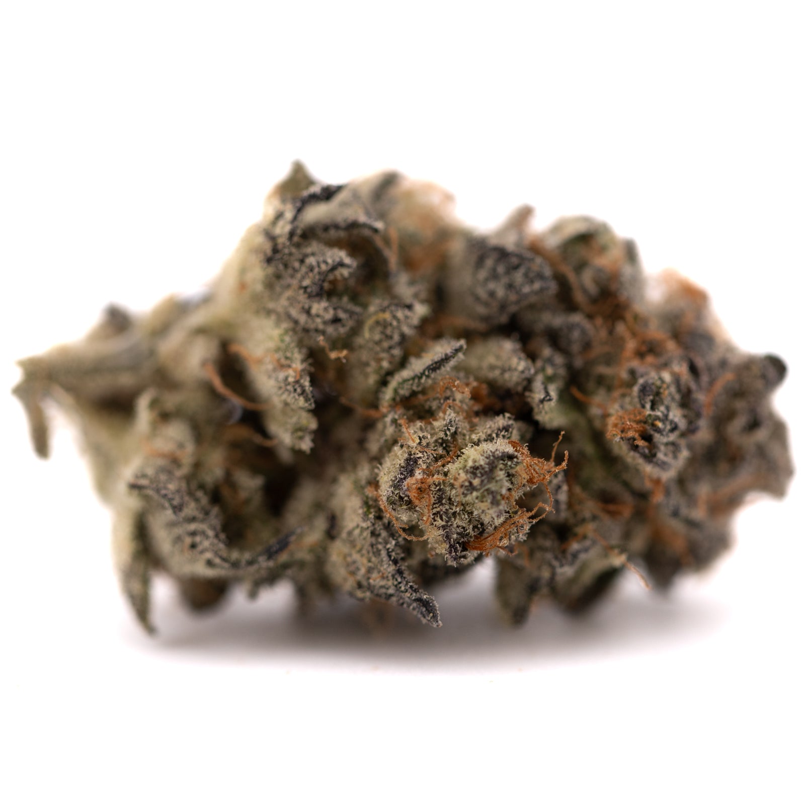 Dense light green Garlic OG Indoor THCa Flower with orange hairs and white trichomes