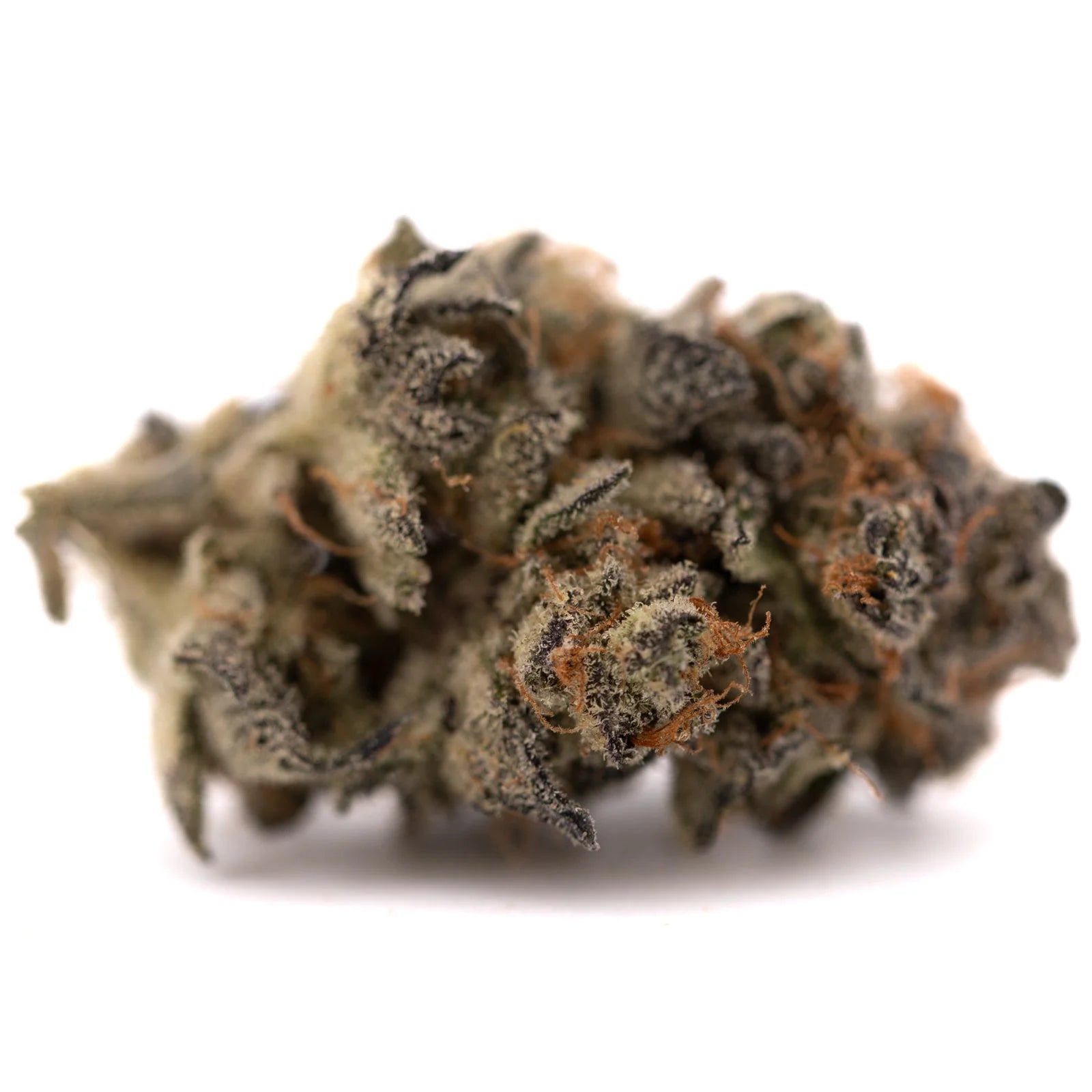 Dense light green Garlic OG Indoor THCa Flower with orange hairs and white trichomes