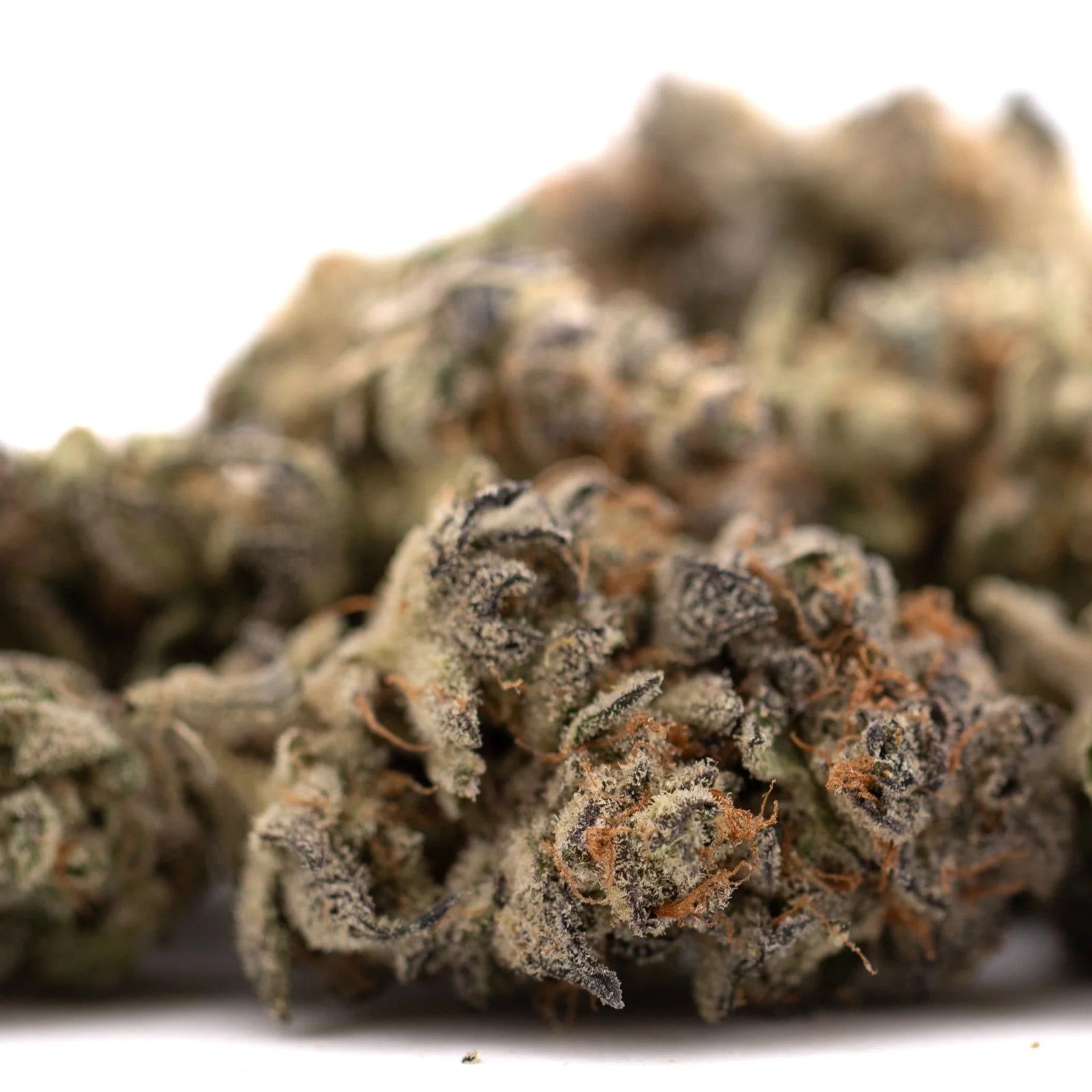 Premium Garlic OG indoor THCa flower with dense trichomes and orange hairs for wholesale