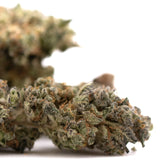 Gary Payton Indoor THCA Flower with frosty cannabis buds and orange pistils