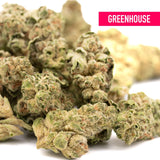 Gary Payton THCa Hemp Flower Greenhouse Wholesale - Plants