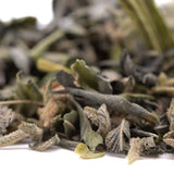 Dried sage leaves with muted green and gray hues and fine hairs in greenhouse thca kush phenotype trim wholesale batch