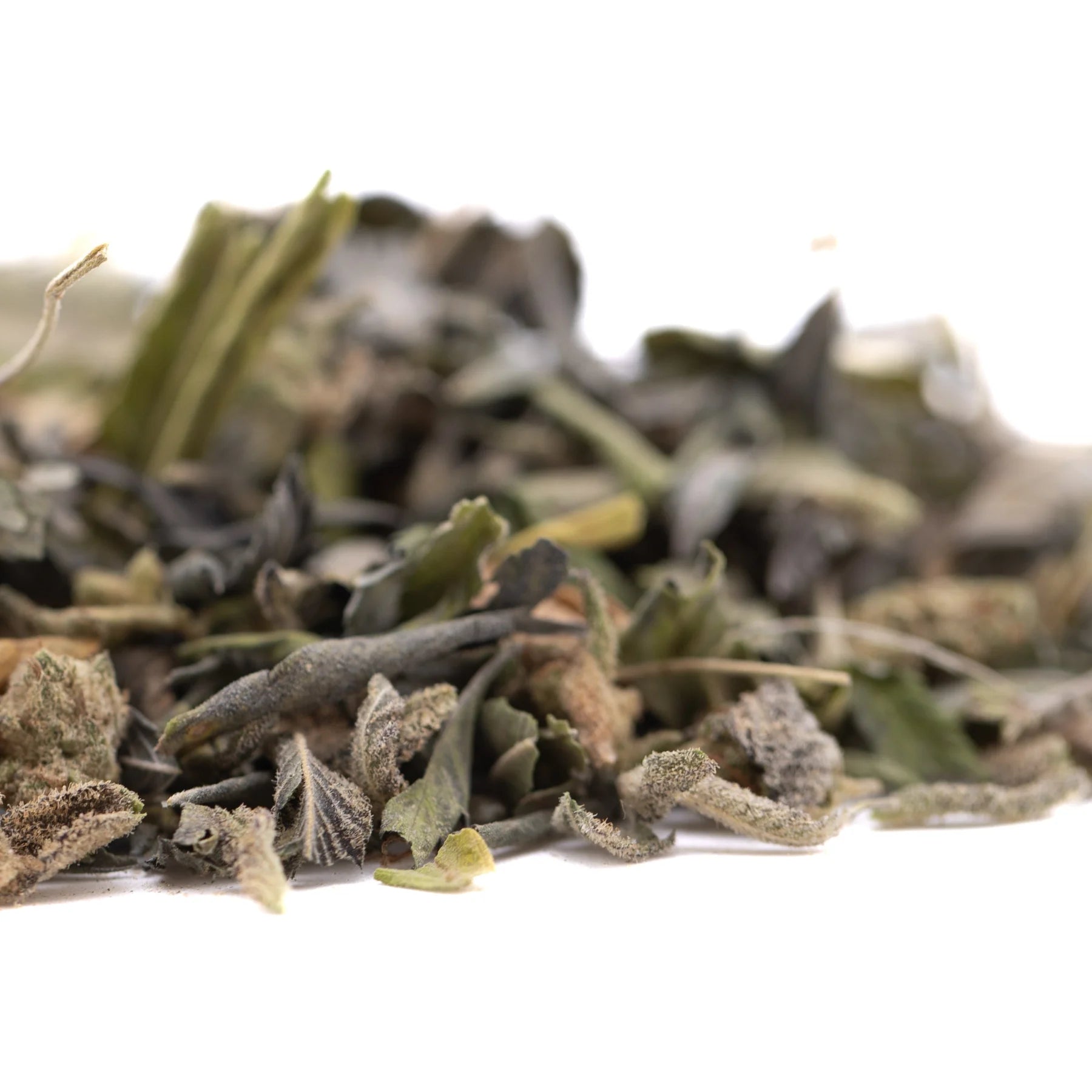 A pile of dried sage leaves in muted green and gray hues showcasing greenhouse thca trim wholesale kush phenotype