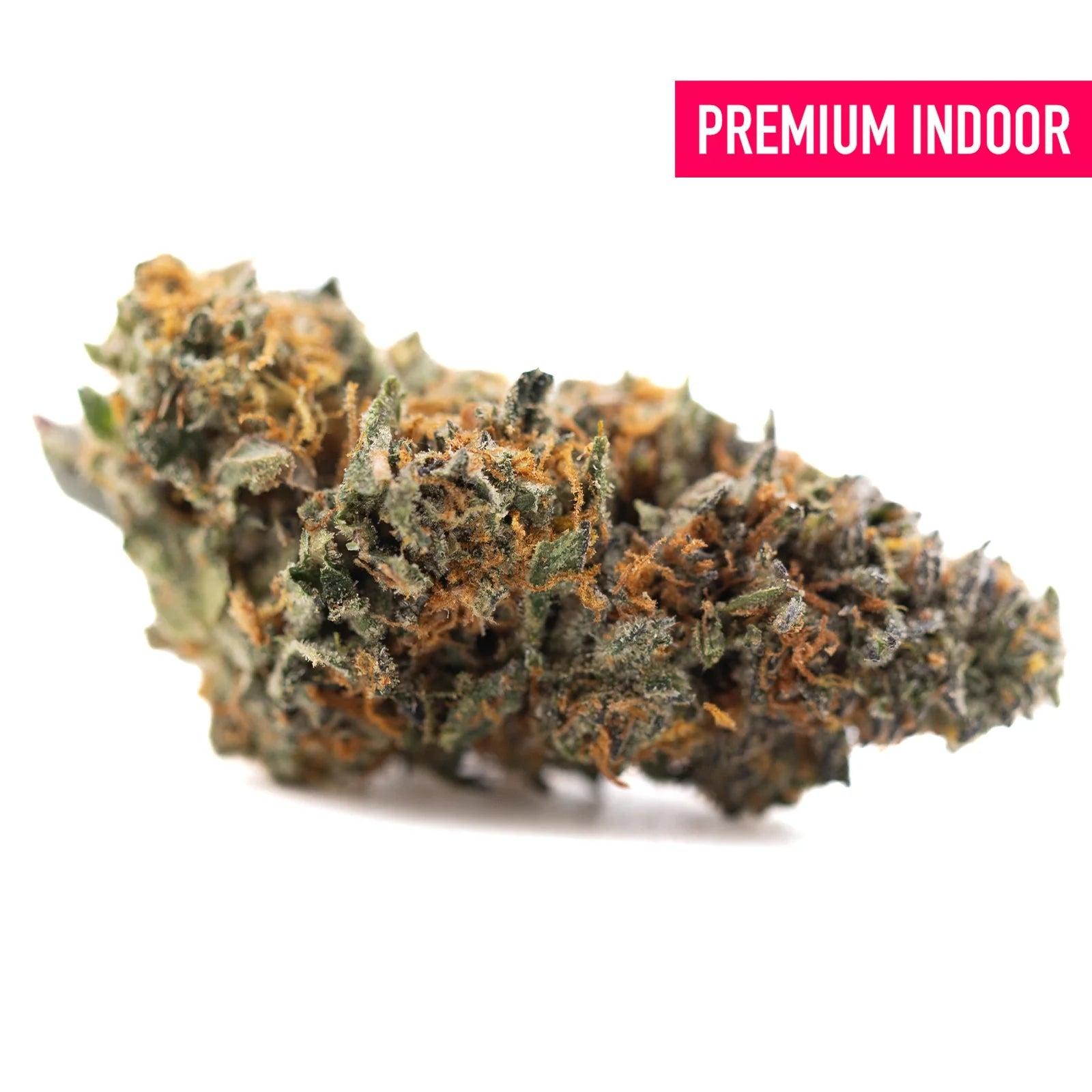 Gas guzzler indoor thca flower with dense resinous hemp flower in green and orange hues covered in fine trichomes