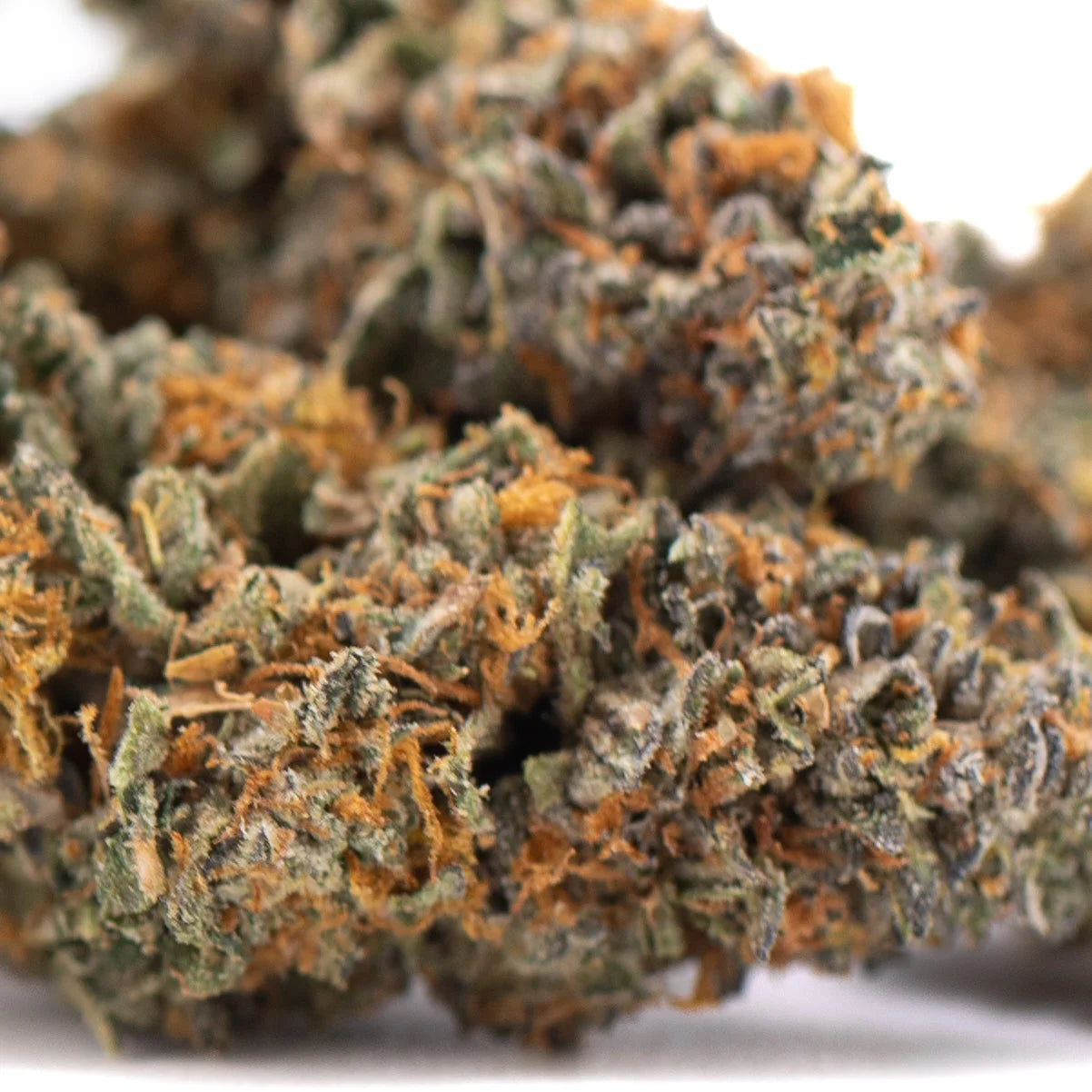 A dense resinous indoor thca hemp flower bud with green and orange hues from gas guzzler with high Δ9-thc content