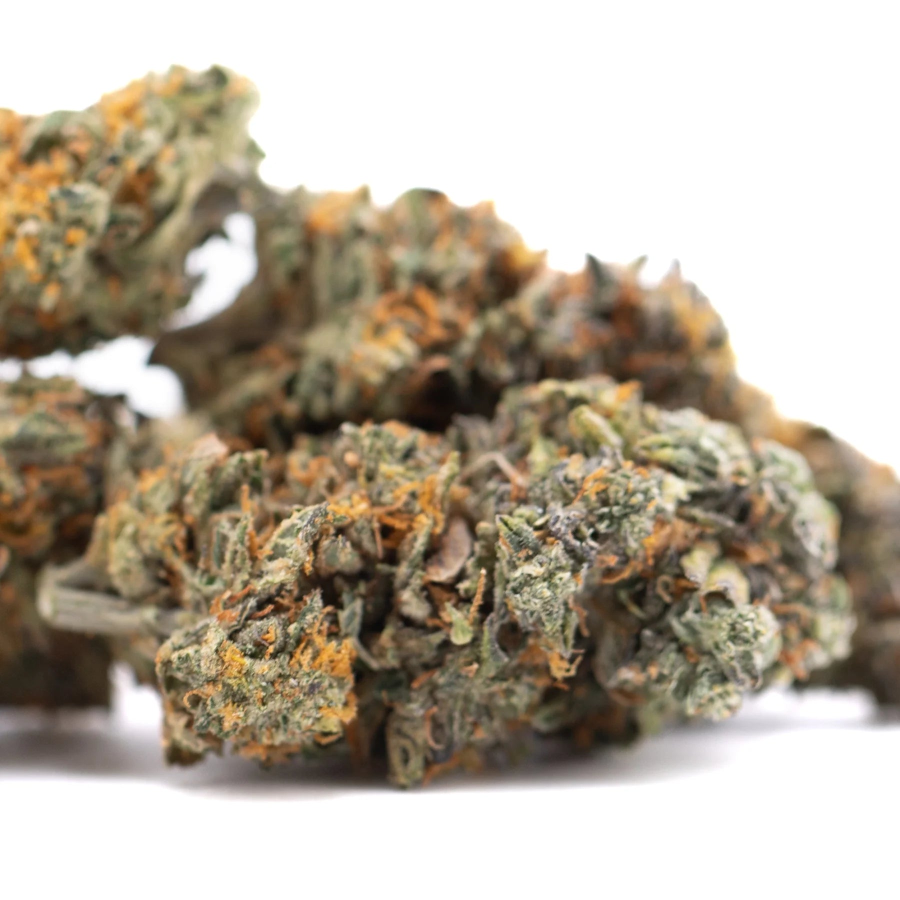 A dense green and orange gas guzzler indoor thca flower cannabis bud highlighting hemp flower and Δ9-thc content