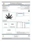 Certificate of analysis for Gas Indoor THCa Flower with Lemon Pine aroma showcasing high THCA