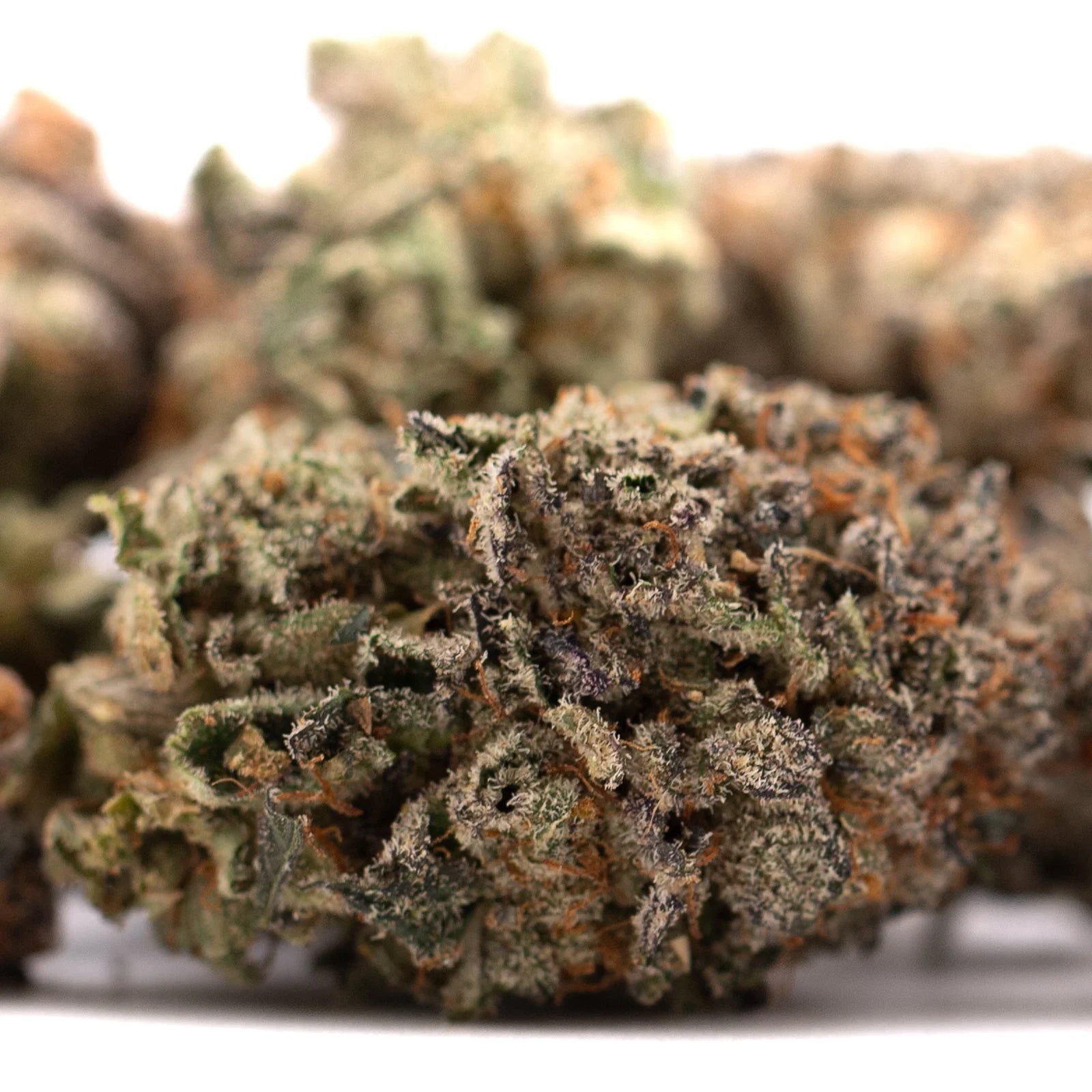 Close-up of GAS Indoor THCa Flower with trichomes and orange hairs showing terpene profile