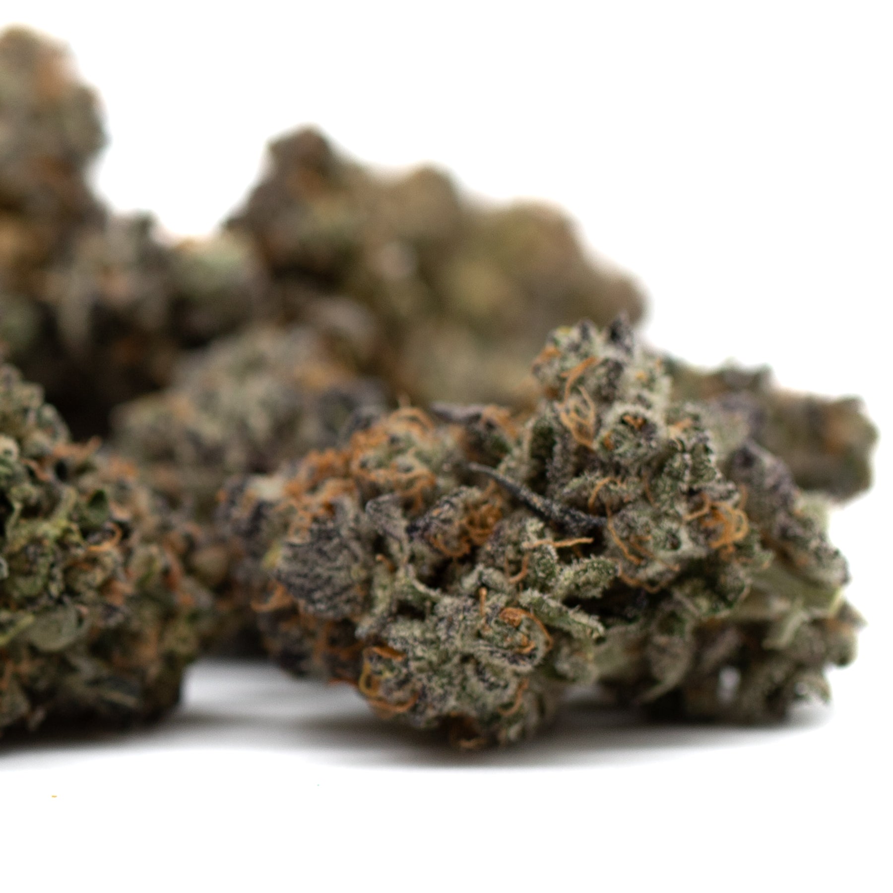 Close-up of Lemon Pine indoor THCA flower buds with orange hairs and trichomes