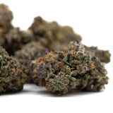 Close-up of Lemon Pine indoor THCA flower buds with orange hairs and trichomes